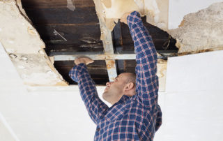 mold inspector inspecting ceiling