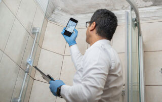 Mobile home inspection requires a close eye for detail. Beware of mold!