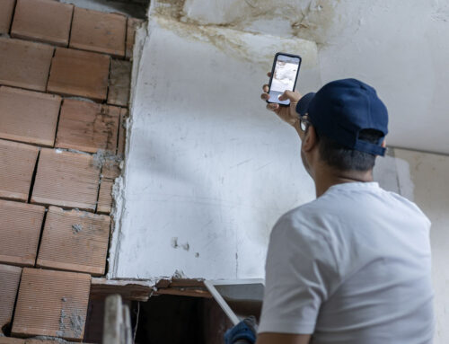 Home Inspection Red Flags: Top Issues vs. Normal Findings